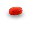 Red Coral